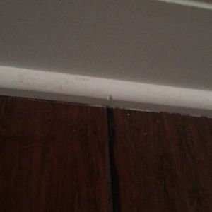 Meet your Posher, Dylan